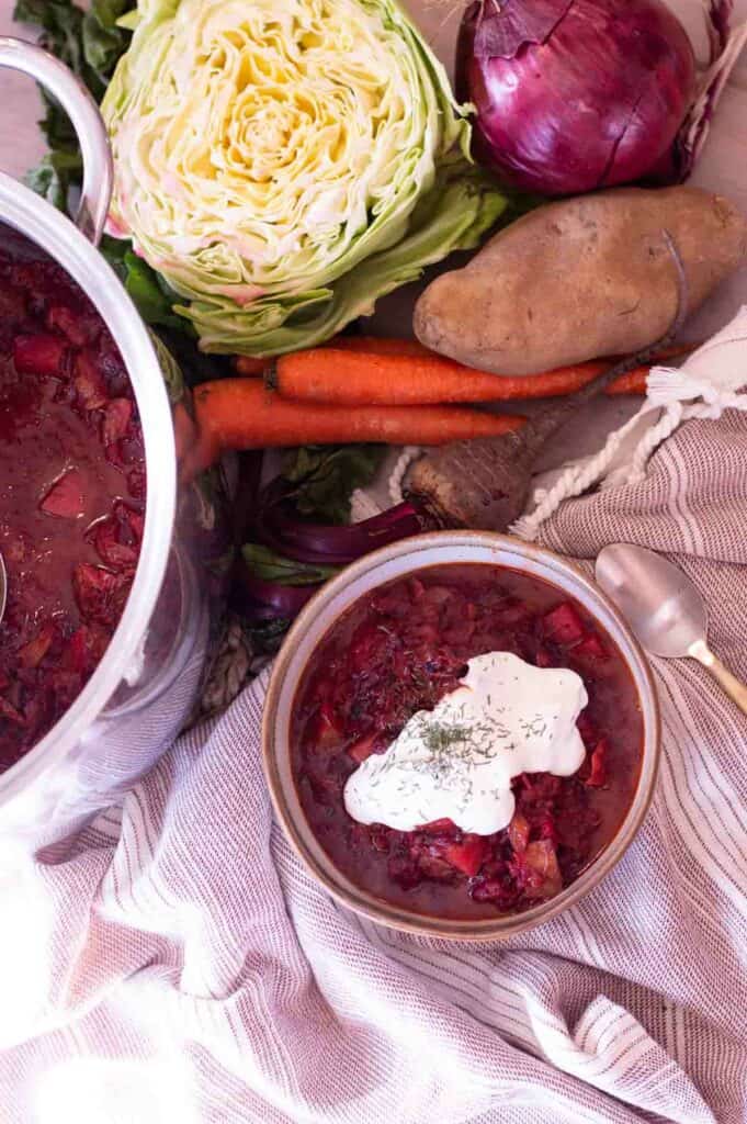 Ukrainian Borscht in a bowl