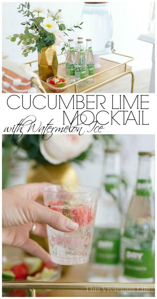 Cactus Succulent Baby Shower Cucumber Lime Mocktail