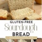 Gluten Free Sourdough Bread (Honey Whole Grain) - This Vivacious Life