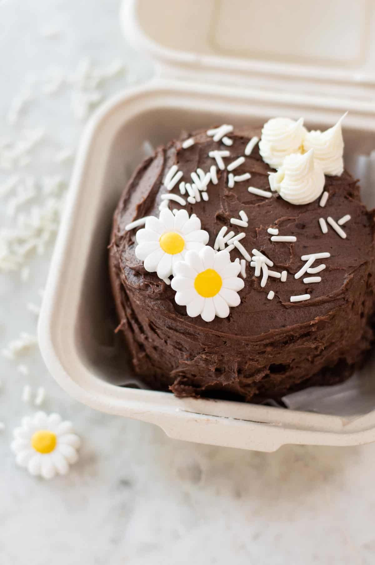 Lunchbox Cakes  All you need to know to make this adorable cakes