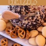 pretzels and chocolate chip cheeseball pinterest pin