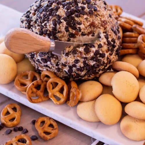 Pretzels with a chocolate chip cheeseball